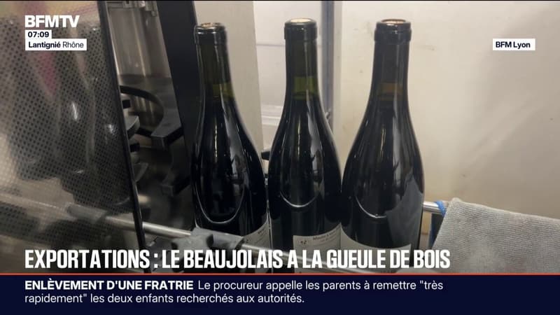 Les producteurs de Beaujolais contraints de s'adapter à la diminution des exportations