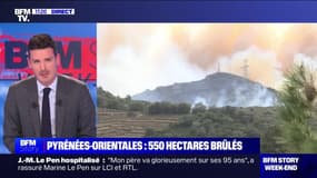 Story 3 : Pyrénées-Orientales, 550 hectares brûlés - 16/04