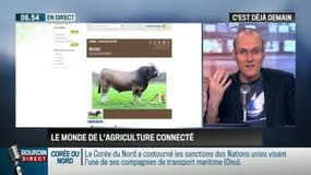 La chronique d'Anthony Morel : Quand le monde de l'agriculture devient connecté - 26/02