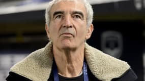 Raymond Domenech