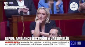 Marine Le Pen inéligible: une journée tendue à l'Assemblée nationale