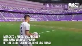 Mercato : Adios Valladolid ? Ben Arfa voudrait partir (et un club italien lui tend les bras)