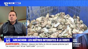 Une mesure sanitaire interdit la vente d'huîtres du Bassin d'Arcachon, à cause d'intoxications 