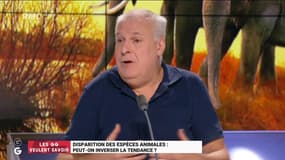 #WWF - "Les mammifères marins disparaissent à cause de notre plastique. Demandons aux industriels du plastique des alternatives !" @etienneliebig #GGRMC