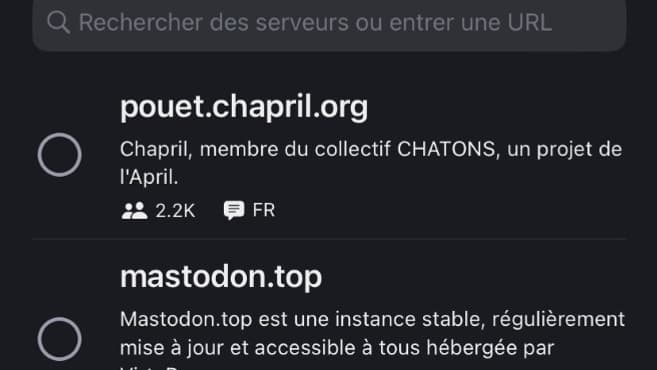 Interface "Choix du serveur" de Mastodon