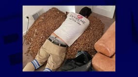 Nick Castro, technicien spécialisé dans la lutte contre les parasites, extirpe plusieurs centaines de kilos d'un mur d'une maison californienne.