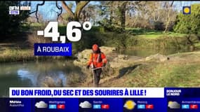 Lille: du froid, du sec et des sourires