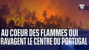 Au cœur des flammes qui ravagent le centre du Portugal