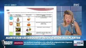 Dupin Quotidien : Alerte sur les risques d'intoxication aux plantes - 02/07