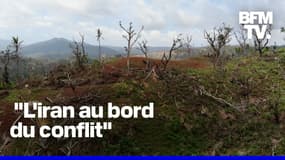 Mayotte: la faune et la flore, autres grandes victimes du passage du cyclone Chido 