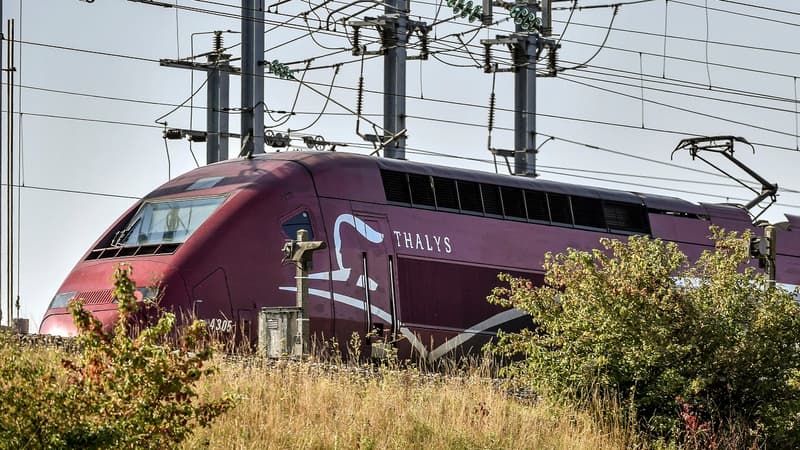 Thalys explique ces performances par la reprise du tourisme européen, un contexte plus porteur et sa stratégie commerciale. 