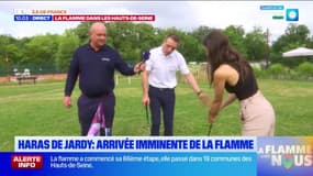 La flamme dans les Hauts-de-Seine: des initiations au sport proposées au haras de Jardy en parallèle du relais de la torche 