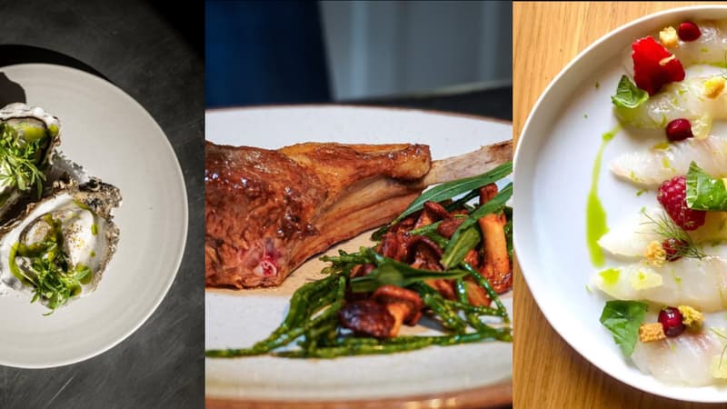 De gauche à droite, des plats proposés par les restaurants Turbulent à Trouville-sur-Mer (Calvados), L'Auberge de la Vallée à Nassandres-sur-Risle (Eure) et Les Pieds dans l'Eau (Orne), tous récompensés par un Bib Gourmand 2025.