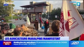 "On n'a plus le choix": dans les Alpes-Maritimes, les agriculteurs mobilisés à 
