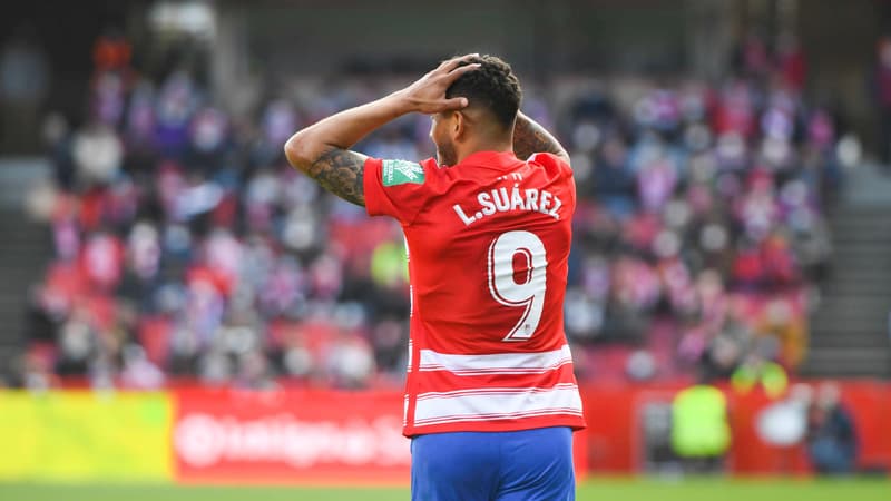 L. Suarez