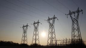 Le groupe UMP de l'Assemblée a saisi mercredi le Conseil constitutionnel sur la loi sur l'énergie, adoptée la veille, qui prévoit notamment la mise en place au 1er janvier 2015 d'un mécanisme de bonus-malus pour pénaliser les gros consommateurs. /Photo d'