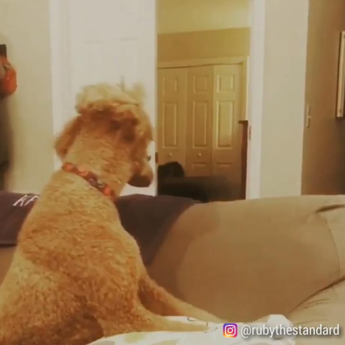 placeholder video