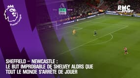 Sheffield – Newcastle : Le but improbable de Shelvey alors que tout le monde s’arrête de jouer