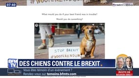 Des chiens contre le Brexit