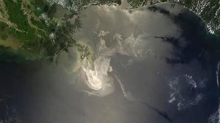 Image satellite montrant l'avancée de la marée noire dans le Golfe du Mexique. BP a annoncé samedi l'échec et l'abandon de l'opération "top kill" de colmatage du puits de pétrole endommagé dans le golfe du Mexique et s'est tournée immédiatement vers une a
