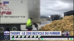 A Thoiry, le zoo transforme le fumier du Salon de l'agriculture en énergie