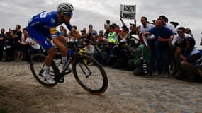 Niki Terpstra