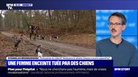 Aisne: une femme enceinte tuée par des chiens (2/2) - 20/11