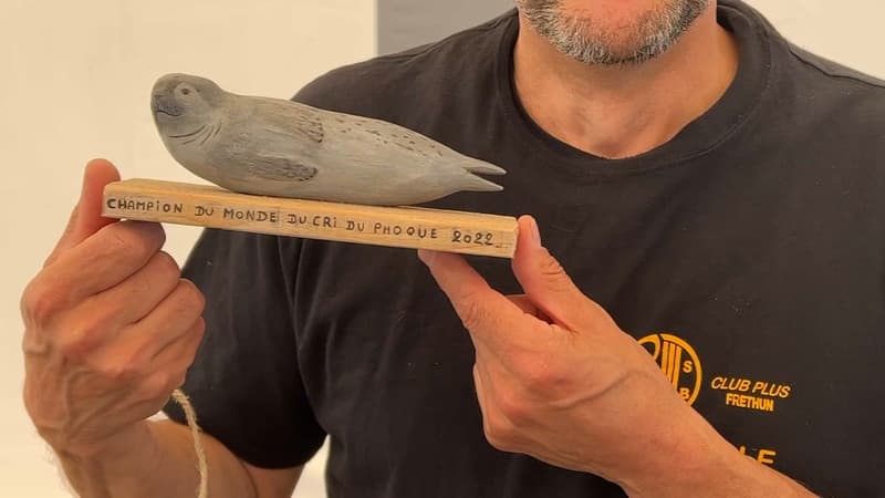 Pas-de-Calais: un championnat du monde pour élire le meilleur imitateur du cri du phoque à Fréthun