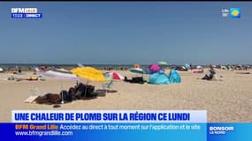 Une chaleur de plomb sur la région ce lundi, les Nordistes en quête de fraîcheur