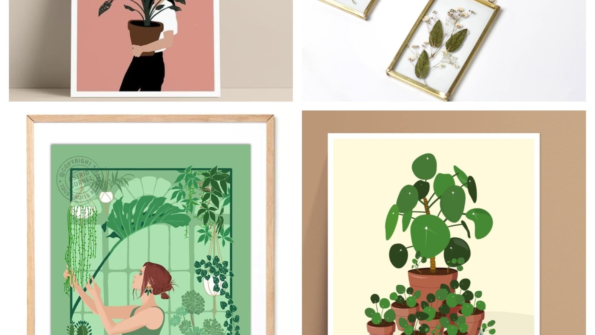 Des illustrations