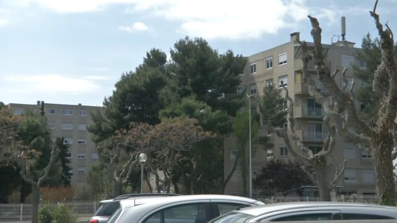 Le quartier de la Devèze à Béziers, le dimanche 4 avril 2021.