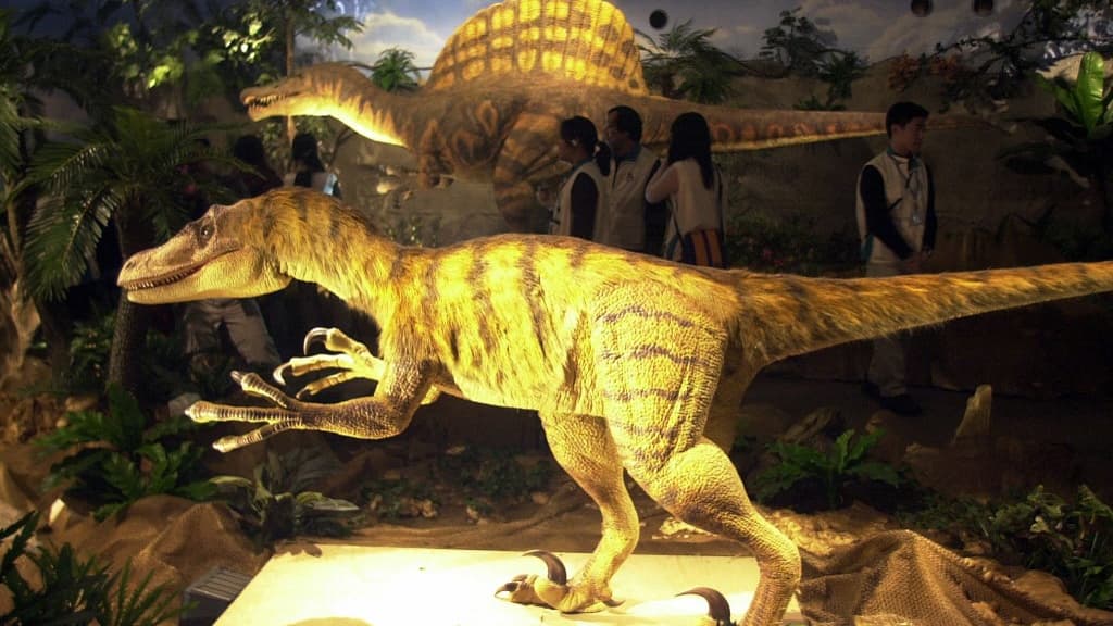 La reproduction d'un vélociraptor au musée national des sciences de Taïwan. La reproduction d'un vélociraptor au musée national des sciences de Taïwan.