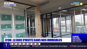 Lyon: le bois s'invite dans les immeubles