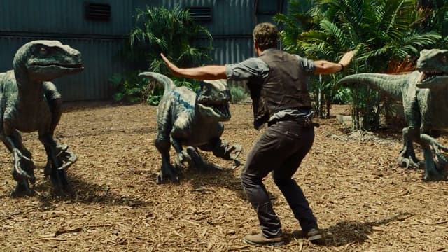Dans Jurassic World, Chris Pratt tente d'apprivoiser des vélociraptors.