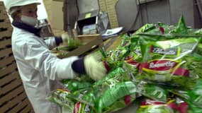 60 millions de consommateurs a analysé 26 références de salades (13 laitues classiques et 13 mâches, en conventionnel, en bio ou "sans résidus de pesticides"). 