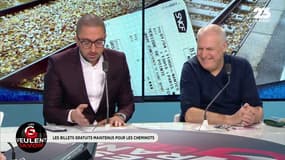 Réforme des cheminots: "On pense qu'en supprimant leurs avantages, les trains arriveront à l'heure"