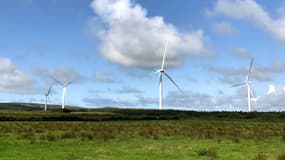 L'énergie d'origine éolienne servira à alimenter les services cloud de l’éditeur américain, hébergés sur ses datacenters en Irlande.