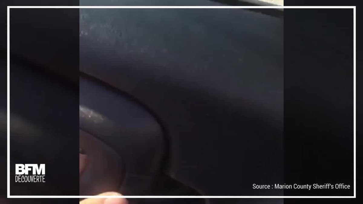 placeholder video