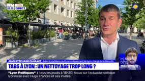 Lyon: des élus de droite dénoncent le manque de rapidité pour retirer les tags