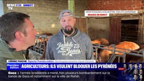 "On a décidé de bloquer sur 24 heures maximum": les agriculteurs français et espagnols manifestent ensemble ce lundi