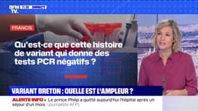 Que sait-on du variant "breton" ? BFMTV répond à vos questions