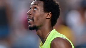 Gaël Monfils en quarts de finale du tournoi de Halle