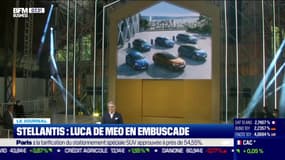 Stellantis : Luca De Meo en embucasde