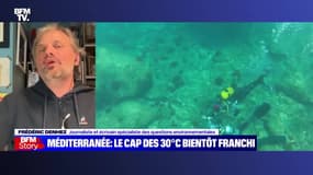 Story 7: Méditerranée, le cap des 30°C bientôt franchi - 22/07