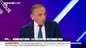 Pour Éric Zemmour, "l'écologie politique, ça fait longtemps que ça commence à bien faire" 