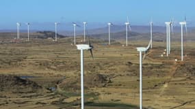 Le parc éolien d'Ashegoda en Ethiopie a été inauguré ce week-end.