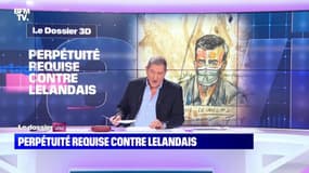 Perpétuité requise contre Lelandais - 17/02