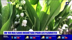 Contrairement à l'année dernière, la vente du muguet autorisée pour le 1er mai