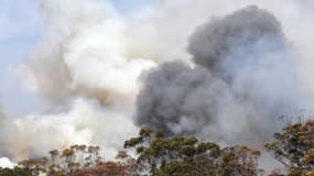 Les fumées d'incendies devraient faire le tour du globe, selon la Nasa.