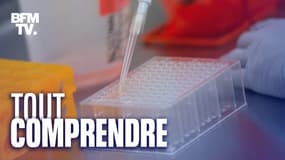 Une plateforme a été lancée afin de recruter des volontaires pour de larges essais cliniques pour un vaccin contre le coronavirus.